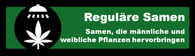 Reguläre Cannabissamen - Nicht feminisierte Marihuanasorten Icon Tab Image